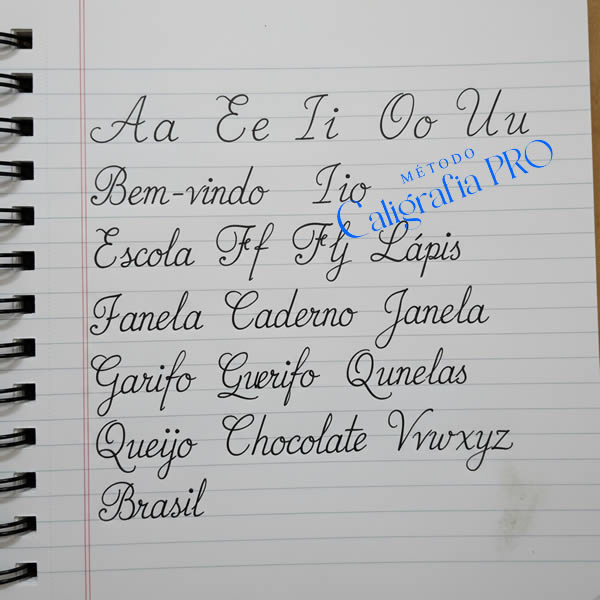 Evolucao de adulto - Antes e Depois